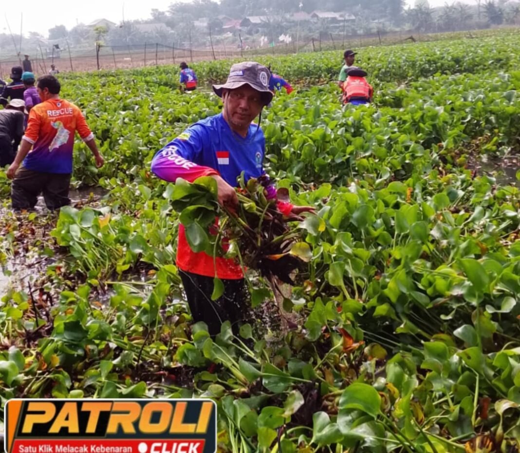 Kolaborasi Lintas Sektor, Tim Rescue Karang Taruna Kabupaten Karawang Bersihkan Bekas Danau Cikeas ‎