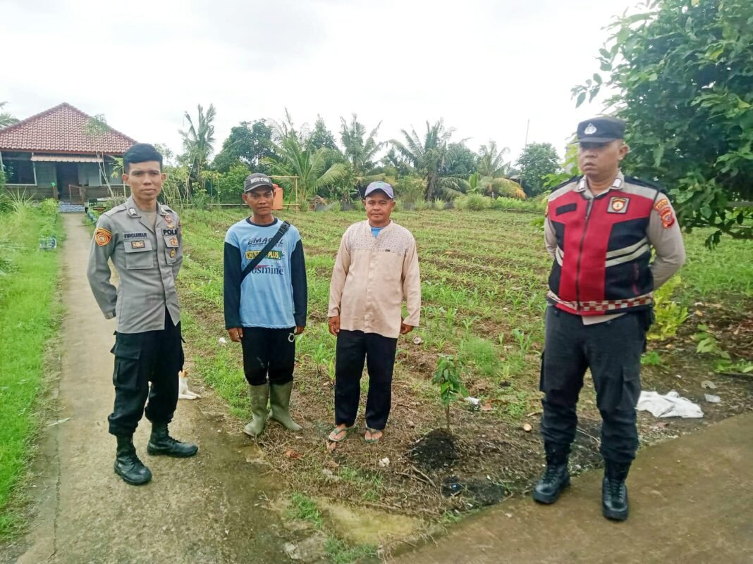 Personil Patroli Polsek Rengasdengklok Monitoring Tanaman Jagung di Lahan Ketahanan Pangan