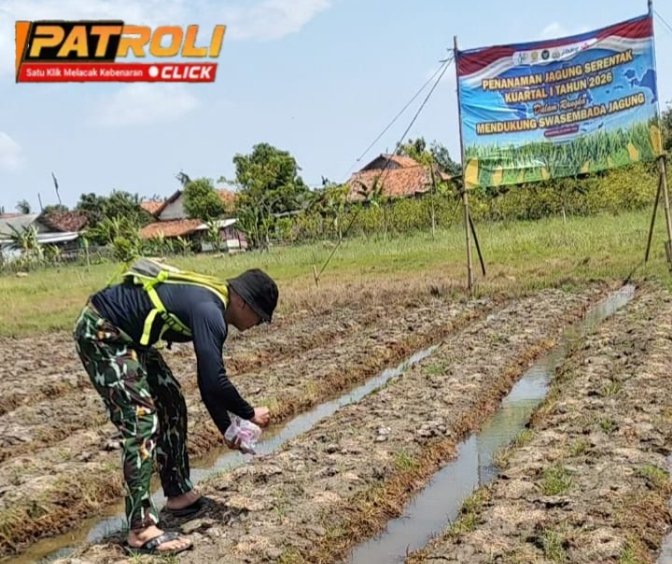 Dukung Ketahanan Pangan Nasional, Personil Polsek Pedes Laksanakan Pemupukan Tanaman Jagung Hybrida